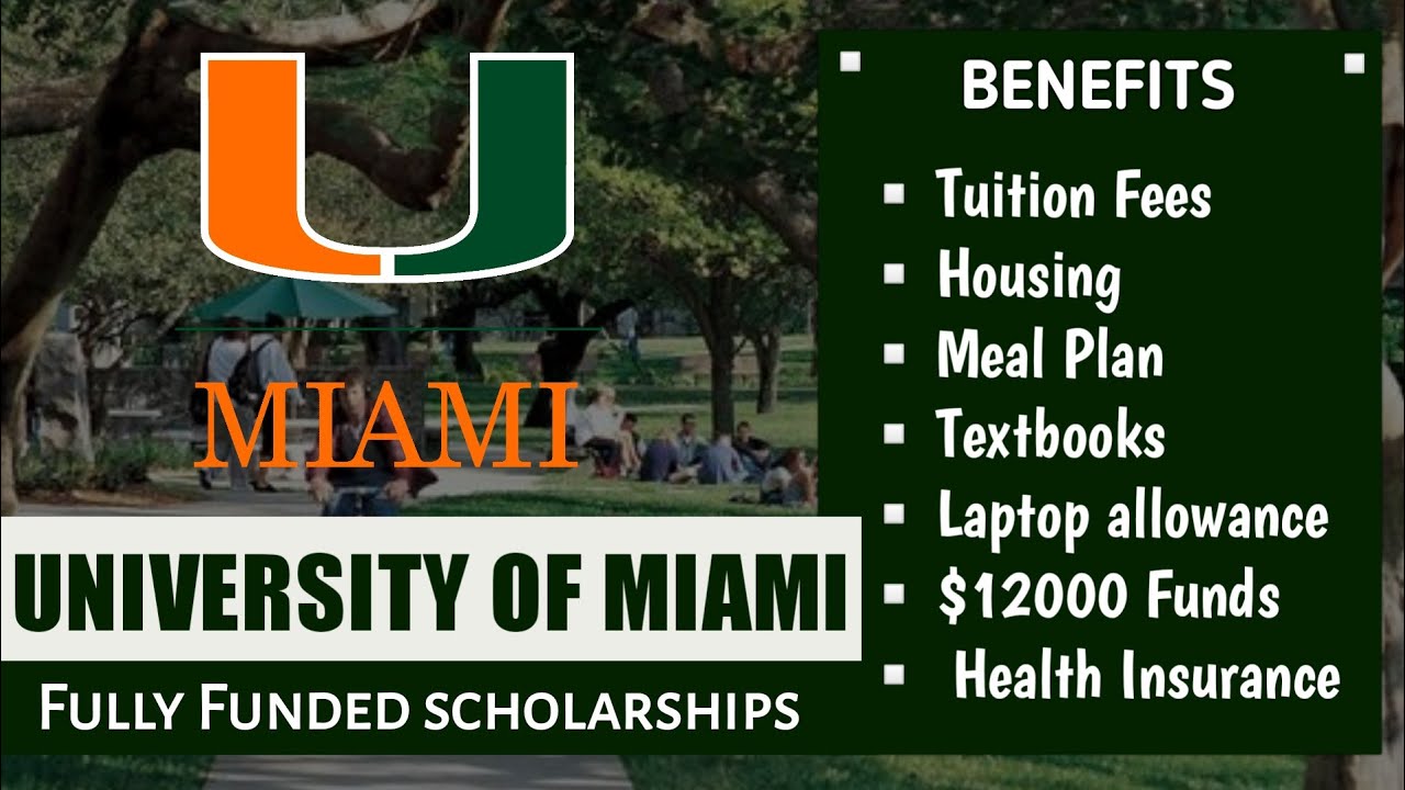 University of Miami Stamps Scholarship Fully Funded (2024)