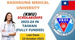 Kaohsiung Medical University Scholarship